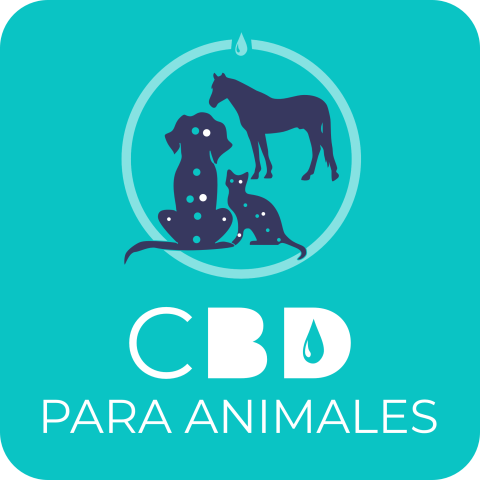 Como utilizar el CBD en animales