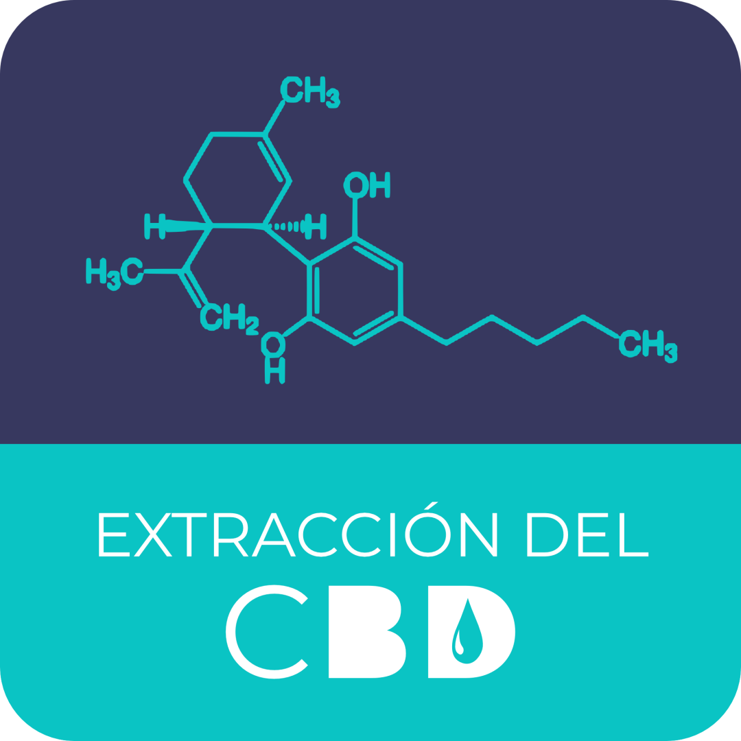 Extracción del CBD, métodos Aceites de CBD Oil, comprar CBD Oil
